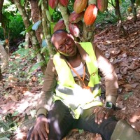Koffi Joël Yao