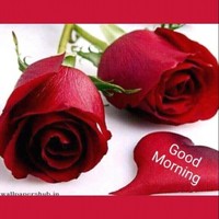 AMIT KUMAR CHATURVEDI