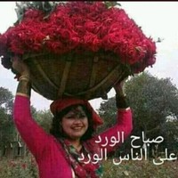 احمد الشامي