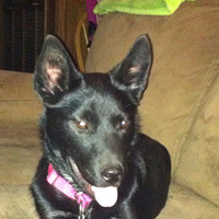 Clela Welp Eggebrecht