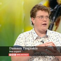 Damson T.