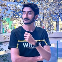 Muhammad Hamza Mushtaq
