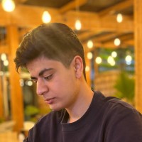 Mohammad Moein Moradi