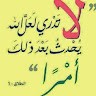 Hesham Elmasry
