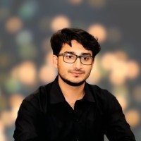 Muhammad Shahzaib Siddiqui