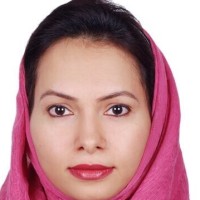 Sarveen Sulfath Azeez