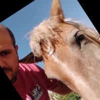 ziya erol