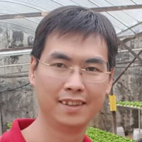 David Bui