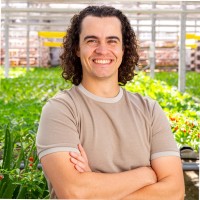 Dimitri Agelis, Cpa Auditor