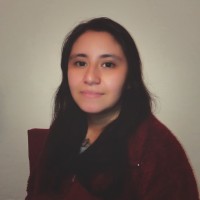 Karina Allende Alvarez