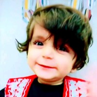 Prince Muhammad Ali