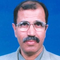 Mostafa Elnagdy