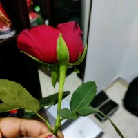 Khushboo Bhardwaj