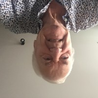 Wim Stoop