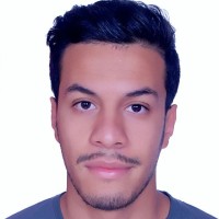 Anas El Wafi