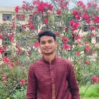 Md Mamun Hossain