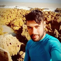 Francisco Pereira Da Silva Junior