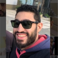 Hesham El Ashry
