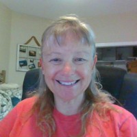 Lisa Faske
