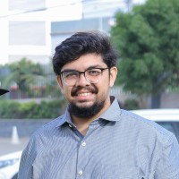 Taha Anees