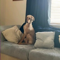 Ritchie Rackham MCQI CQP