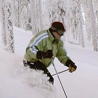 Curt Bishop
