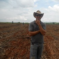 Luciano Alves