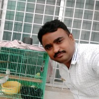 Vijay Kumar B