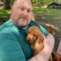 Dan Myrum