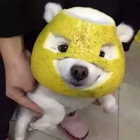 廖光伦