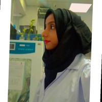 Basharat M.