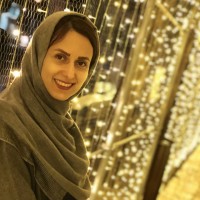 Faezeh Gholami Roudsari