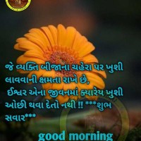Rathod nayan