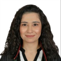 Hatice Hilal Dinler