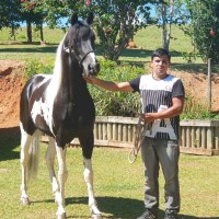 Anderson Santos