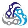 Xter Web