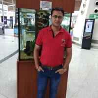Ankit Jetly