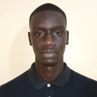 Pape Saliou Wade