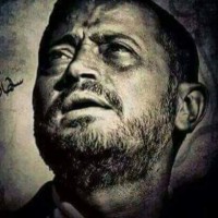 ابو يوسف