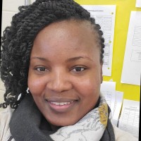Farniler Ndege