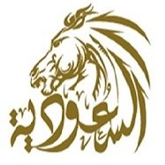 saudi projects holding group