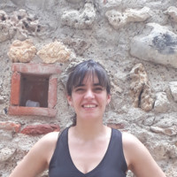 Paula Villarroel Gestión De Proyectos