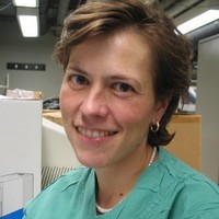 Liesbeth Lewi