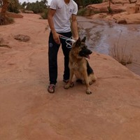عطوات صدام