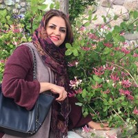 M Fazelzadeh