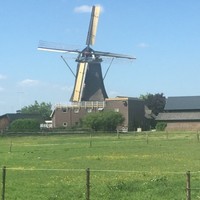 Guus Schmitz