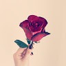 Souad Tarik