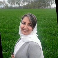 Negin Madani