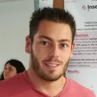 Frédéric Courtier