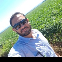 Junior Gontijo